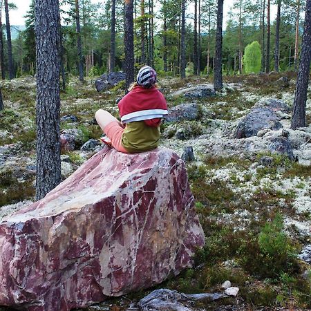 12 - Fulufjellets Nasjonalparker - Natur-, Dyre- Og Fugleopplevelser Ljørdal المظهر الخارجي الصورة