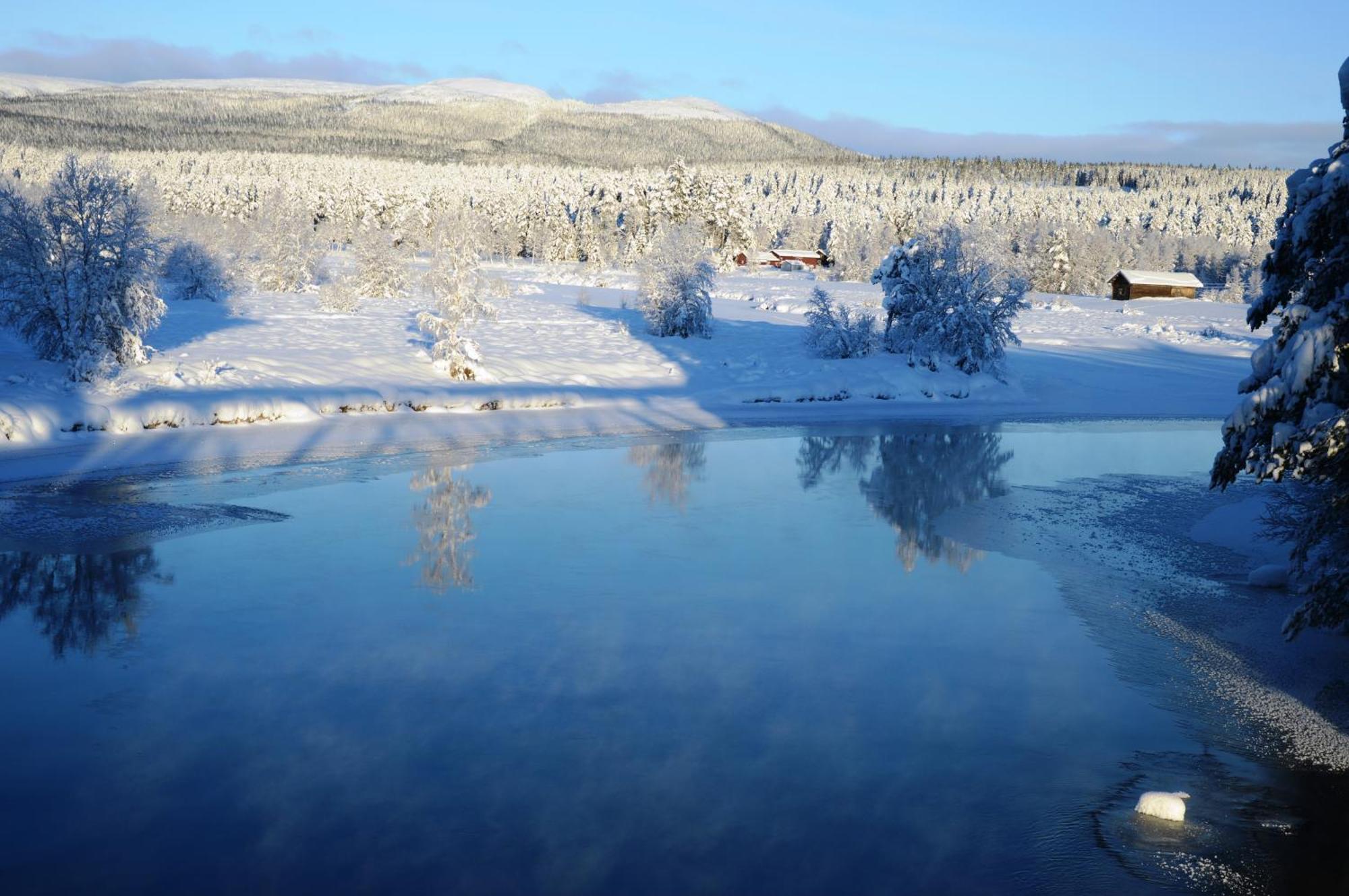 12 - Fulufjellets Nasjonalparker - Natur-, Dyre- Og Fugleopplevelser Ljørdal المظهر الخارجي الصورة