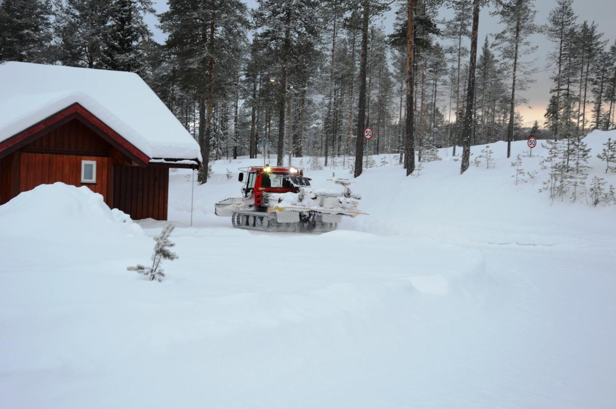 12 - Fulufjellets Nasjonalparker - Natur-, Dyre- Og Fugleopplevelser Ljørdal المظهر الخارجي الصورة