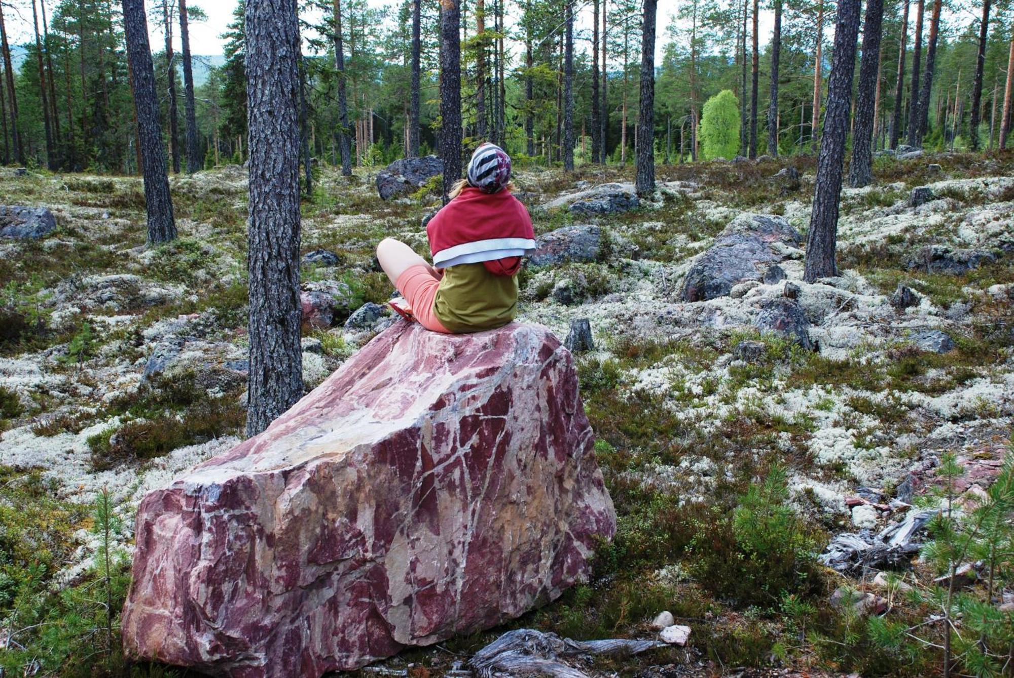 12 - Fulufjellets Nasjonalparker - Natur-, Dyre- Og Fugleopplevelser Ljørdal المظهر الخارجي الصورة