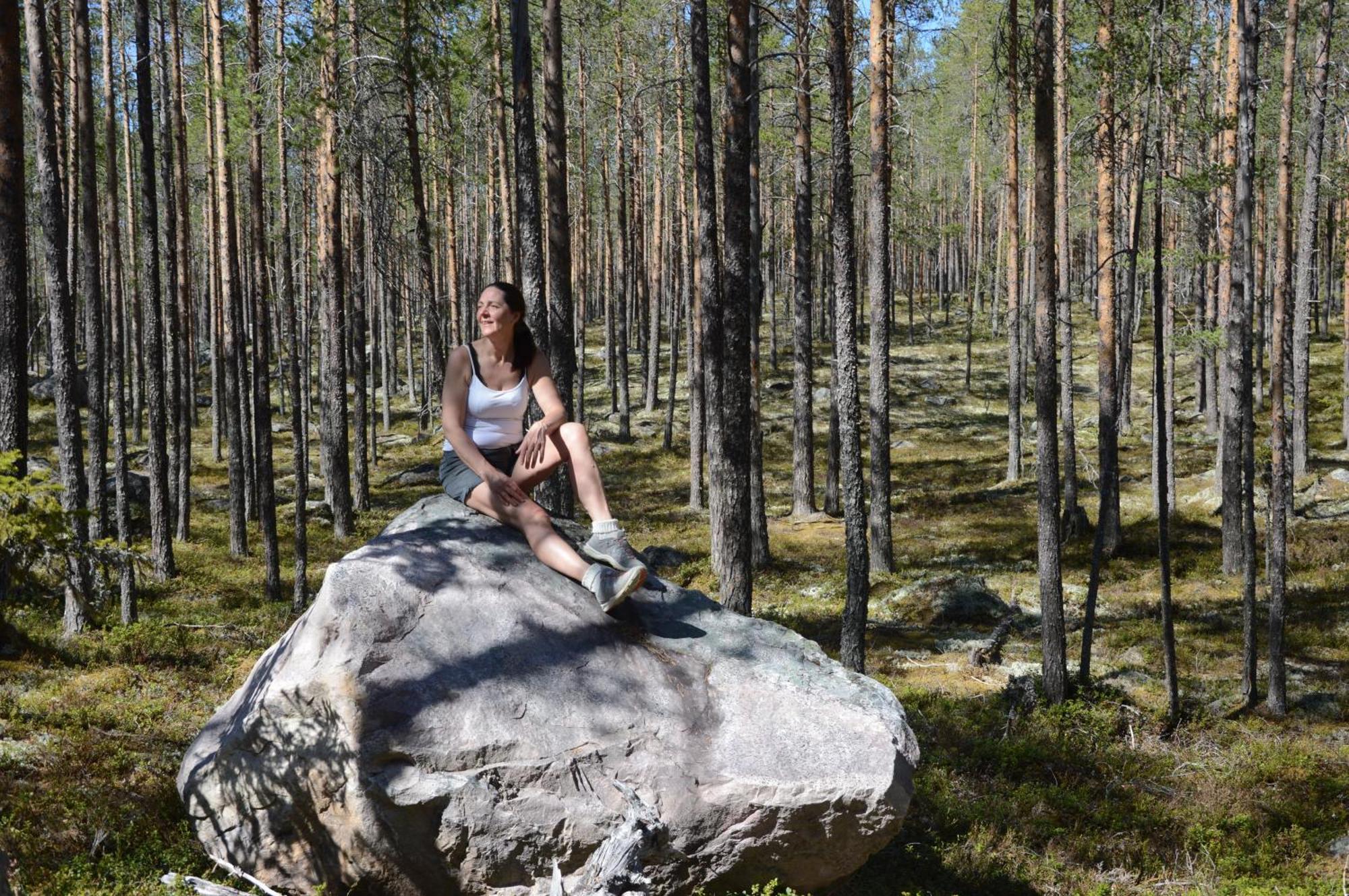 12 - Fulufjellets Nasjonalparker - Natur-, Dyre- Og Fugleopplevelser Ljørdal المظهر الخارجي الصورة