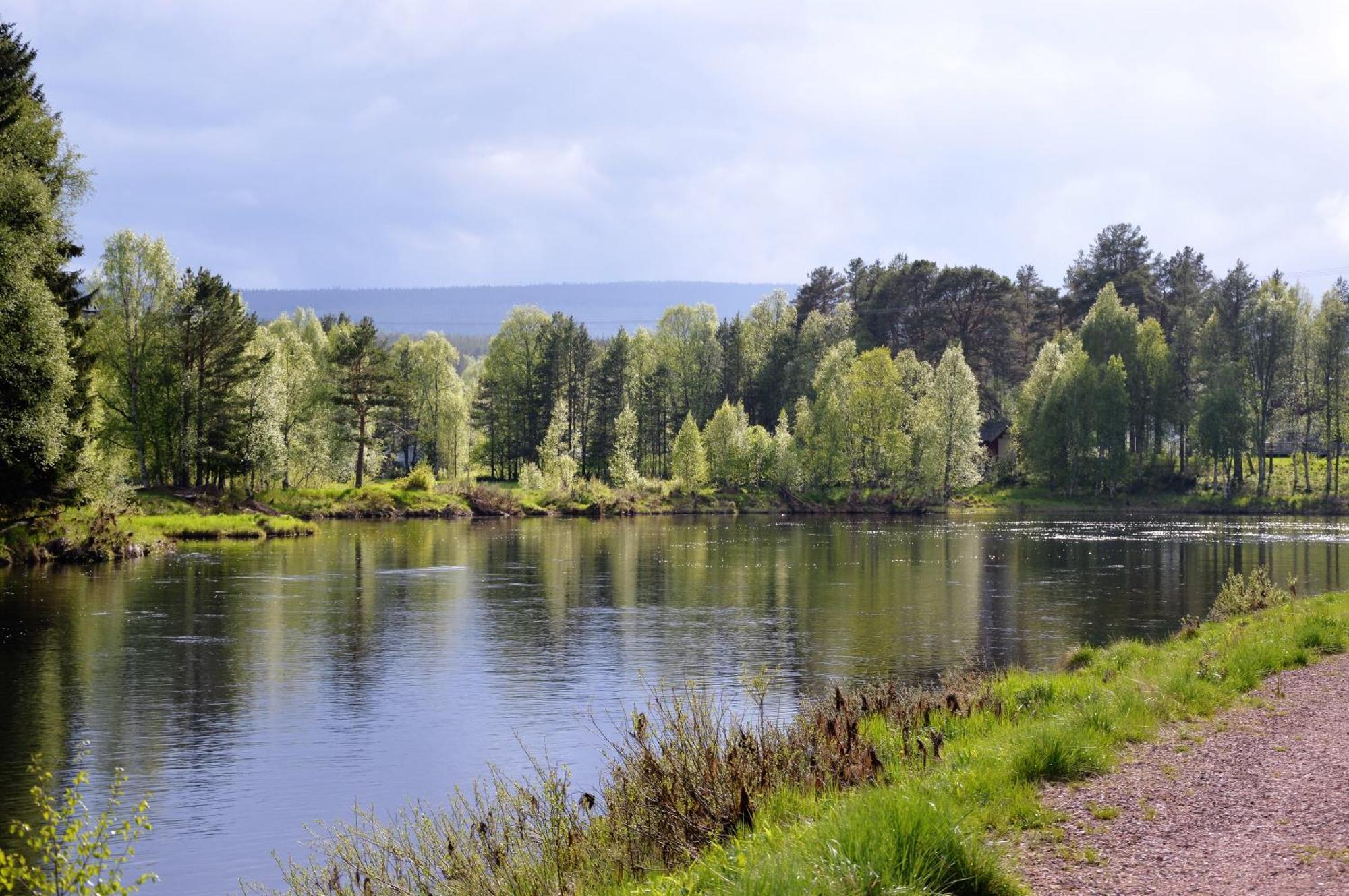 12 - Fulufjellets Nasjonalparker - Natur-, Dyre- Og Fugleopplevelser Ljørdal المظهر الخارجي الصورة
