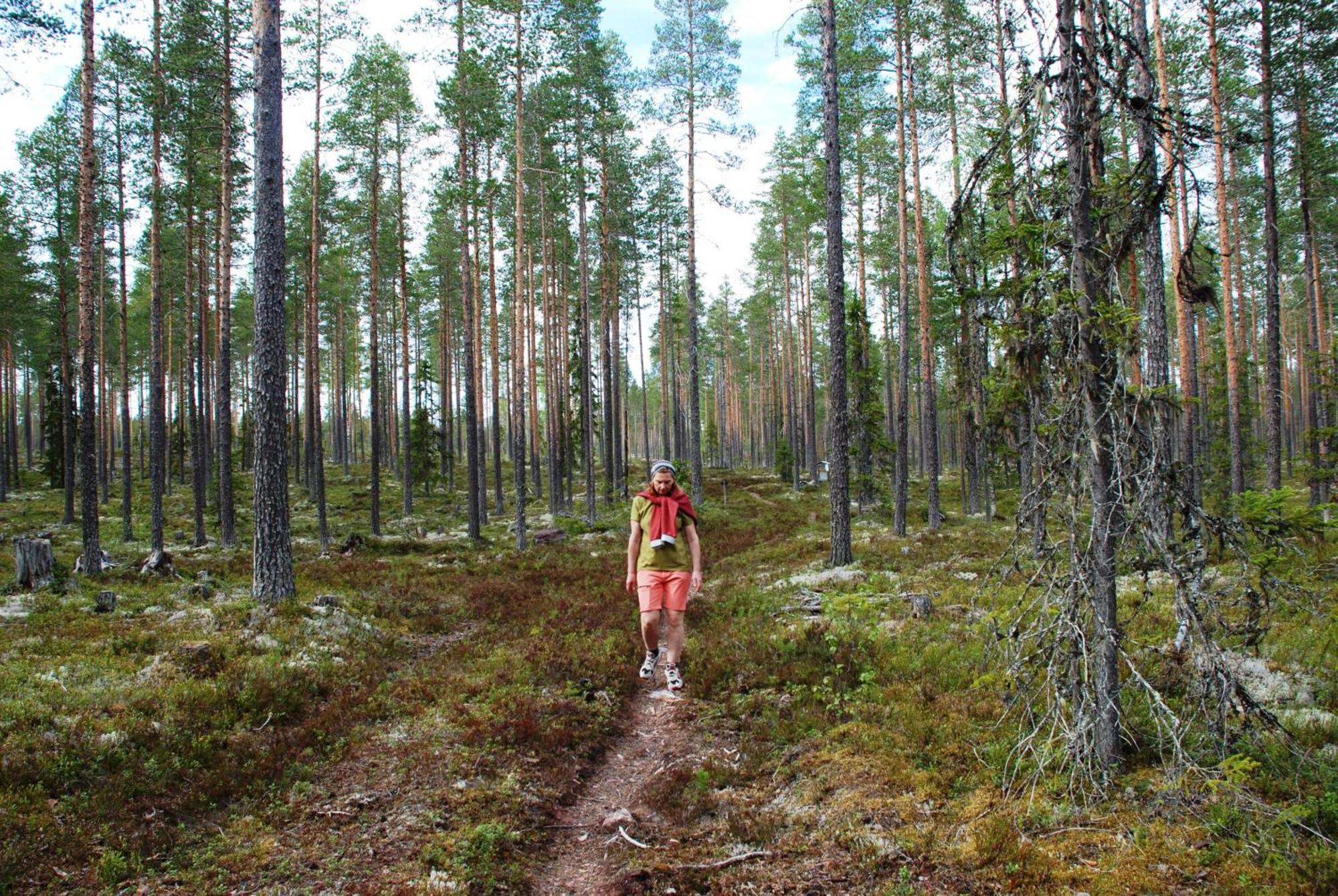 12 - Fulufjellets Nasjonalparker - Natur-, Dyre- Og Fugleopplevelser Ljørdal المظهر الخارجي الصورة
