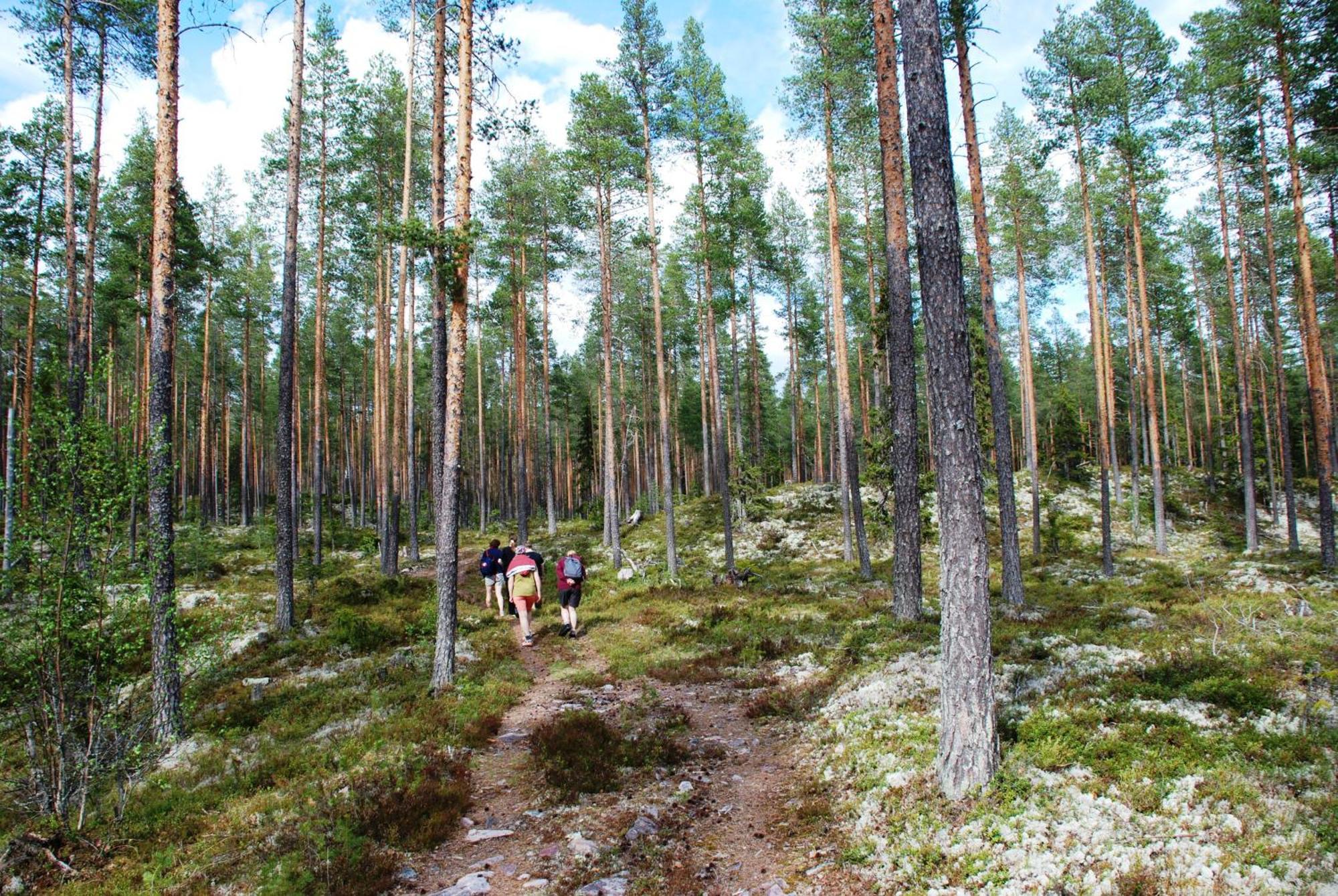 12 - Fulufjellets Nasjonalparker - Natur-, Dyre- Og Fugleopplevelser Ljørdal المظهر الخارجي الصورة