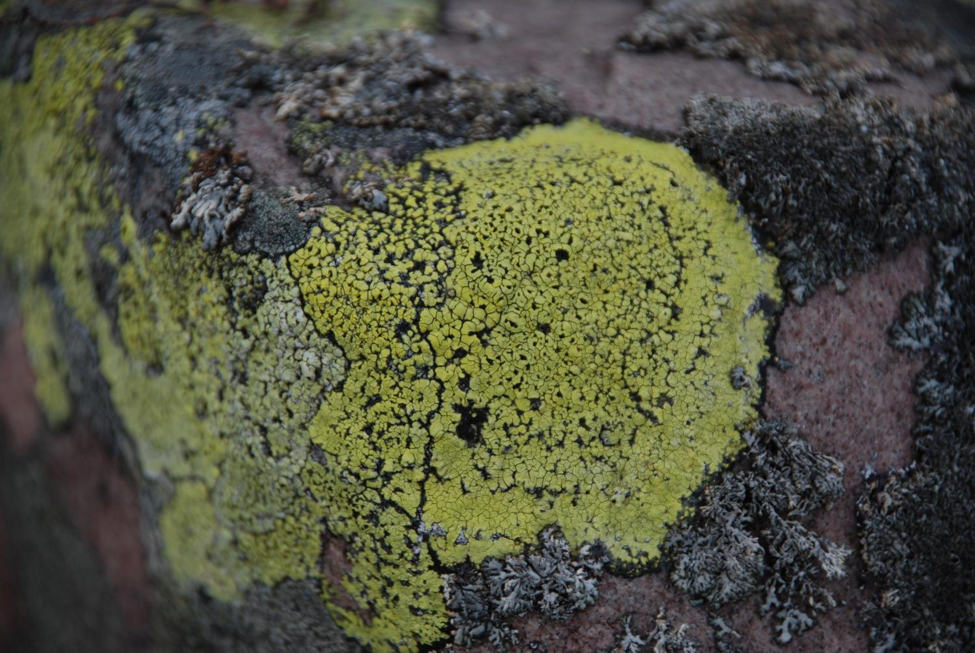 12 - Fulufjellets Nasjonalparker - Natur-, Dyre- Og Fugleopplevelser Ljørdal المظهر الخارجي الصورة