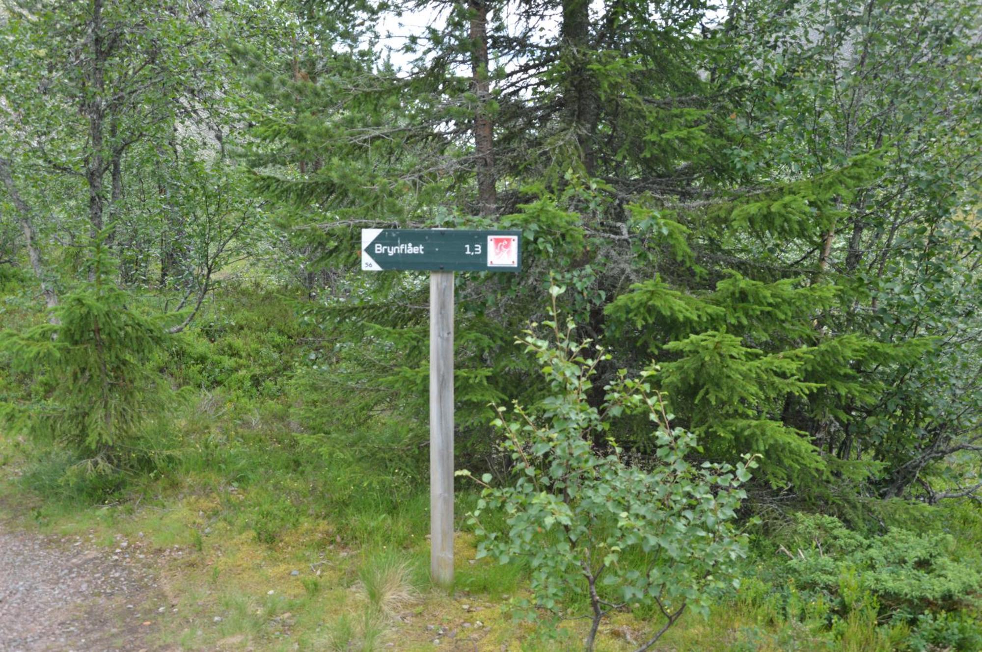 12 - Fulufjellets Nasjonalparker - Natur-, Dyre- Og Fugleopplevelser Ljørdal المظهر الخارجي الصورة