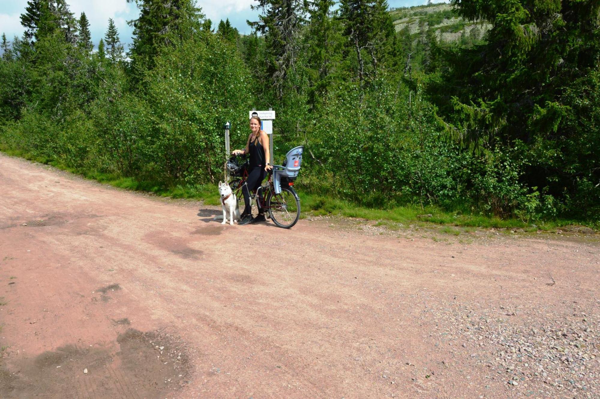 12 - Fulufjellets Nasjonalparker - Natur-, Dyre- Og Fugleopplevelser Ljørdal المظهر الخارجي الصورة
