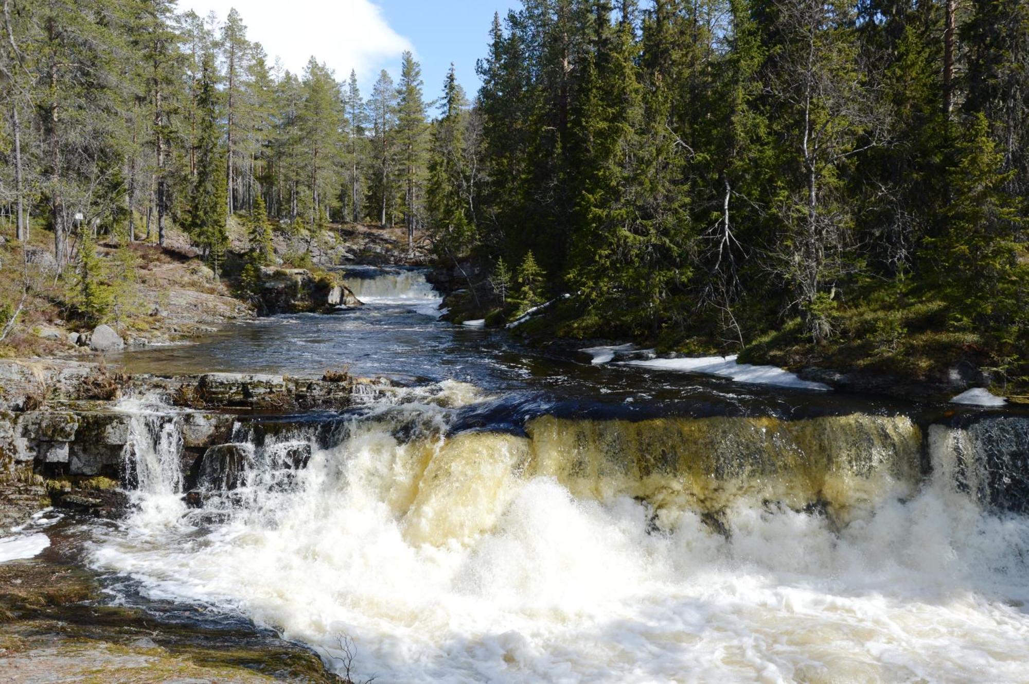 12 - Fulufjellets Nasjonalparker - Natur-, Dyre- Og Fugleopplevelser Ljørdal المظهر الخارجي الصورة