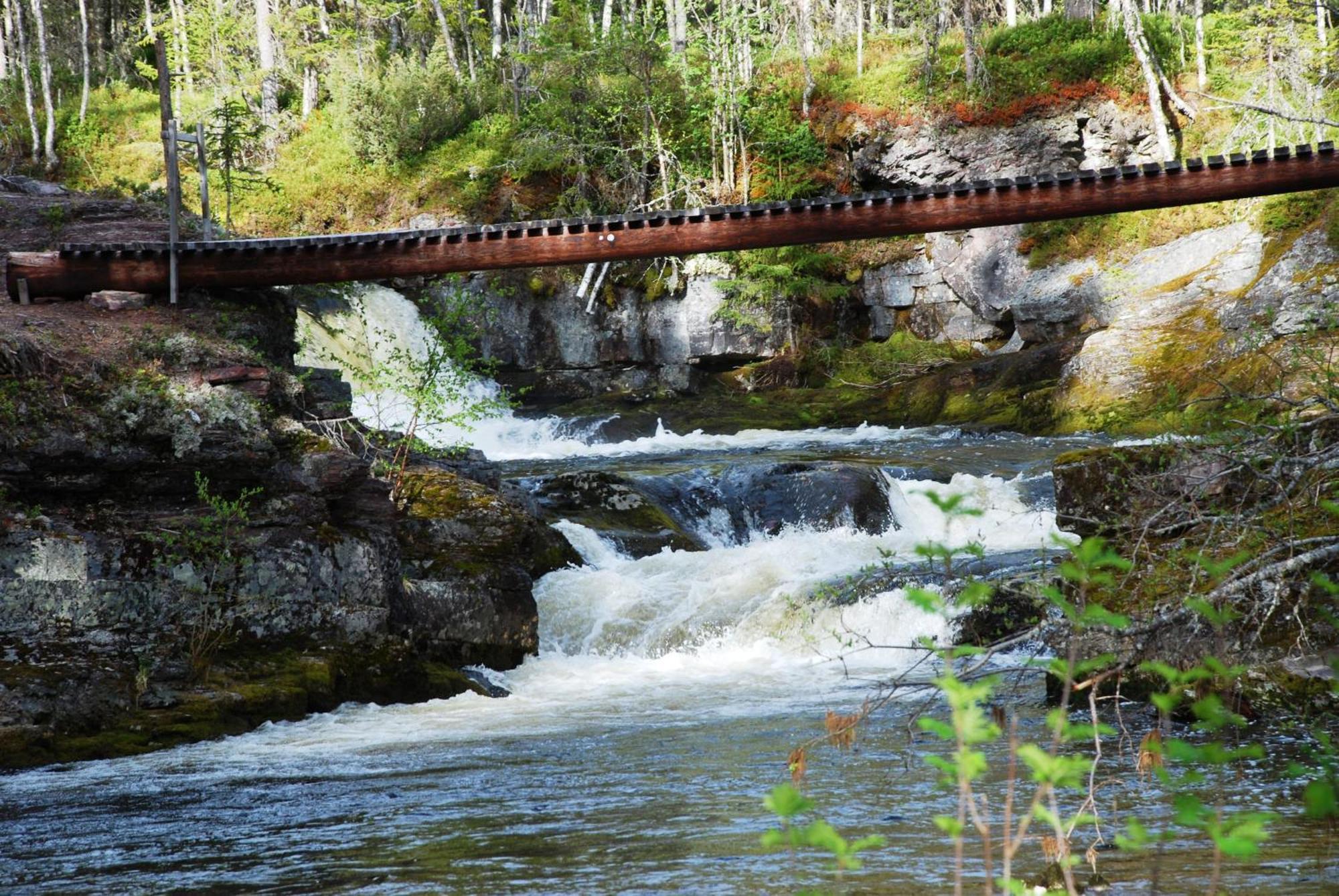 12 - Fulufjellets Nasjonalparker - Natur-, Dyre- Og Fugleopplevelser Ljørdal المظهر الخارجي الصورة