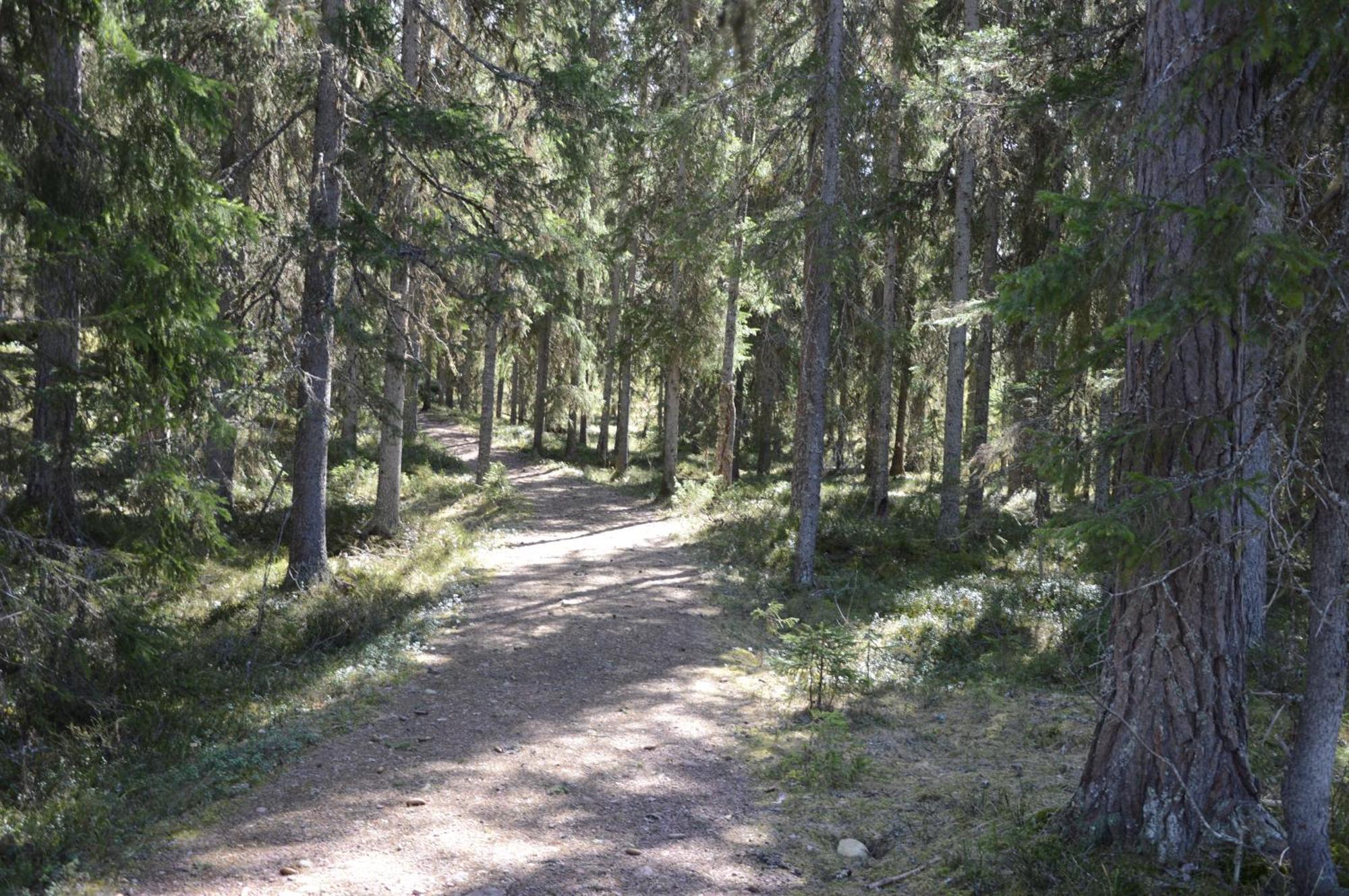 12 - Fulufjellets Nasjonalparker - Natur-, Dyre- Og Fugleopplevelser Ljørdal المظهر الخارجي الصورة