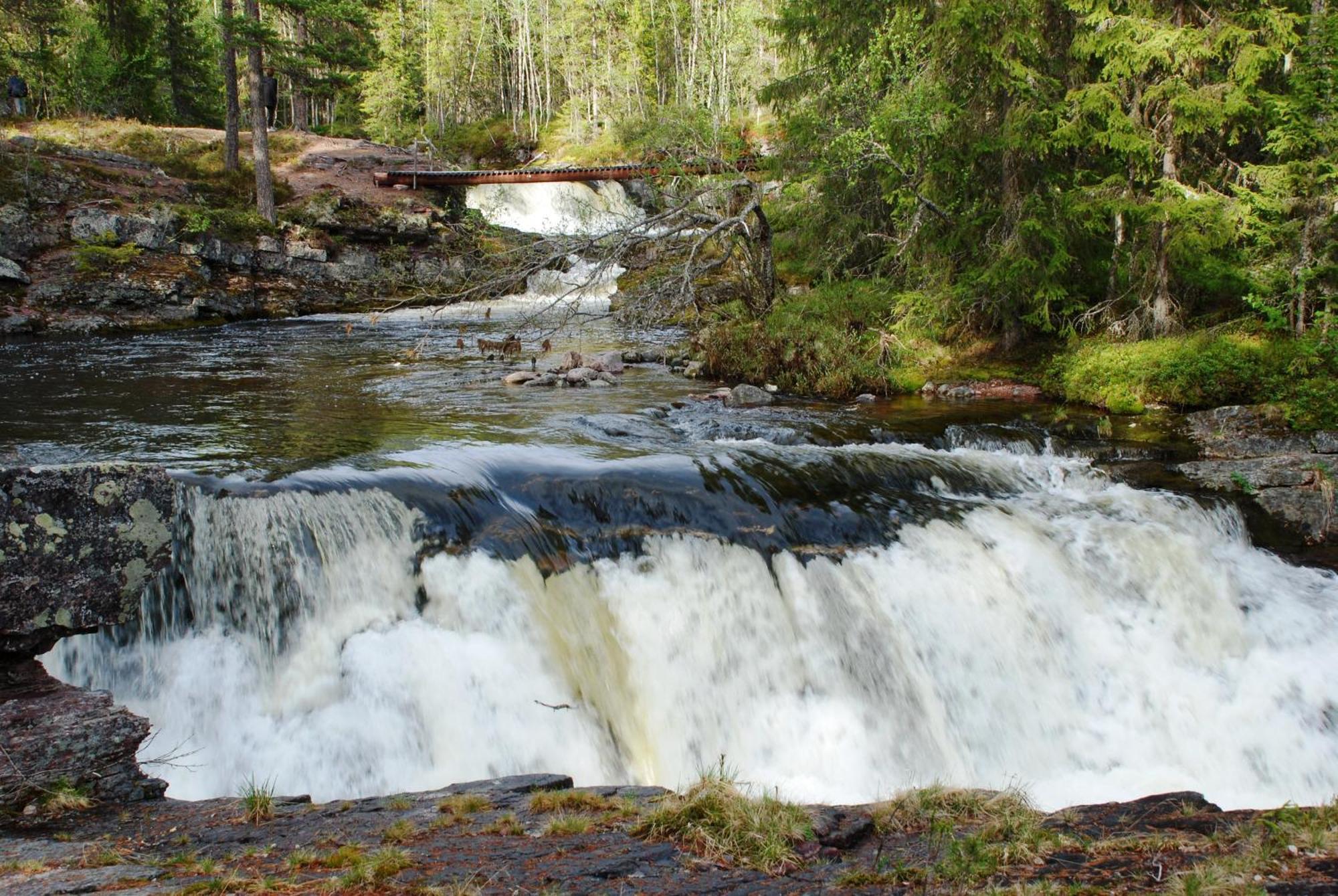 12 - Fulufjellets Nasjonalparker - Natur-, Dyre- Og Fugleopplevelser Ljørdal المظهر الخارجي الصورة