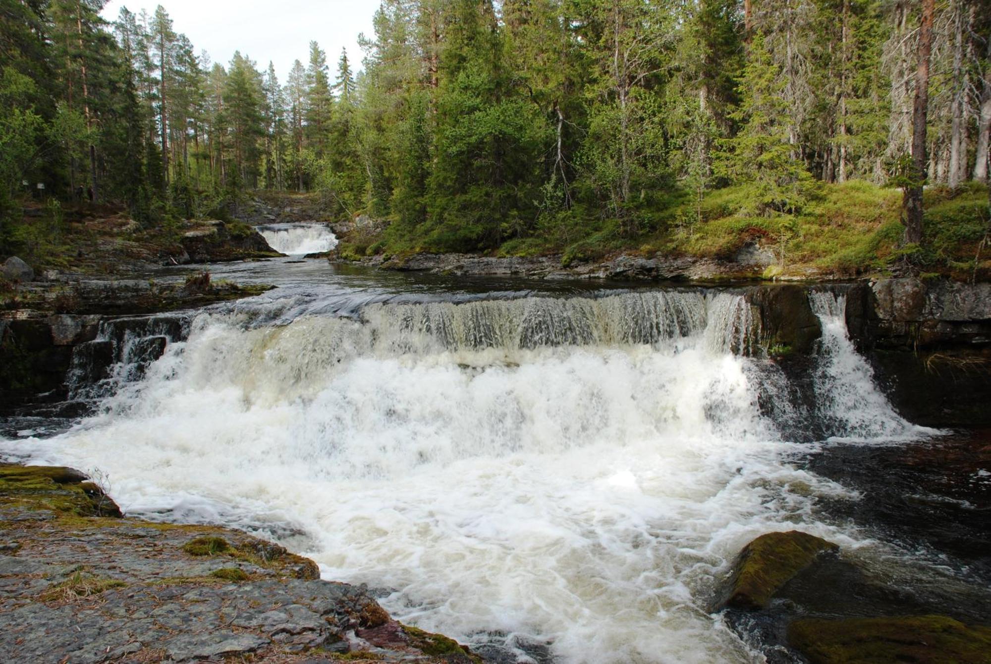 12 - Fulufjellets Nasjonalparker - Natur-, Dyre- Og Fugleopplevelser Ljørdal المظهر الخارجي الصورة