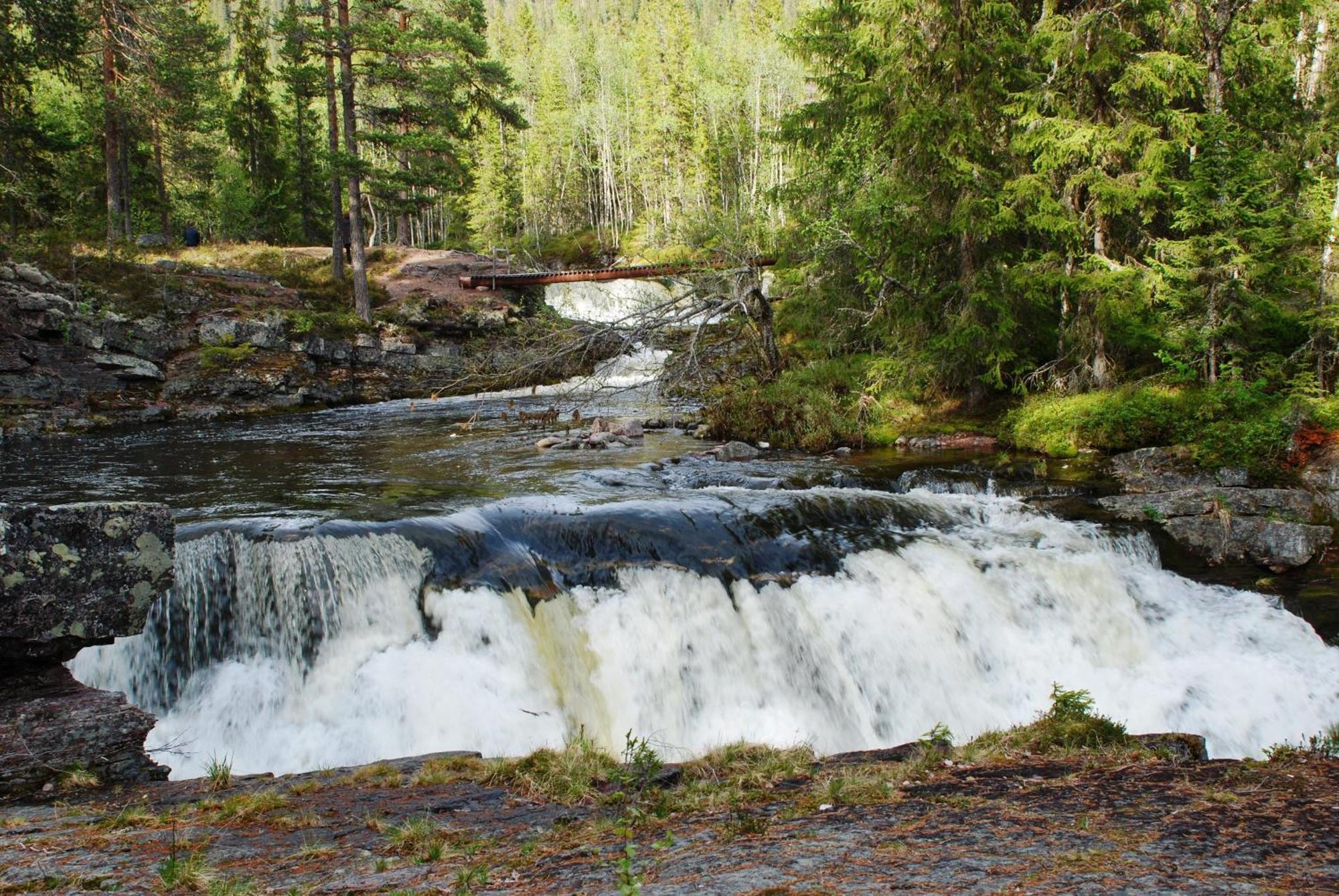 12 - Fulufjellets Nasjonalparker - Natur-, Dyre- Og Fugleopplevelser Ljørdal المظهر الخارجي الصورة