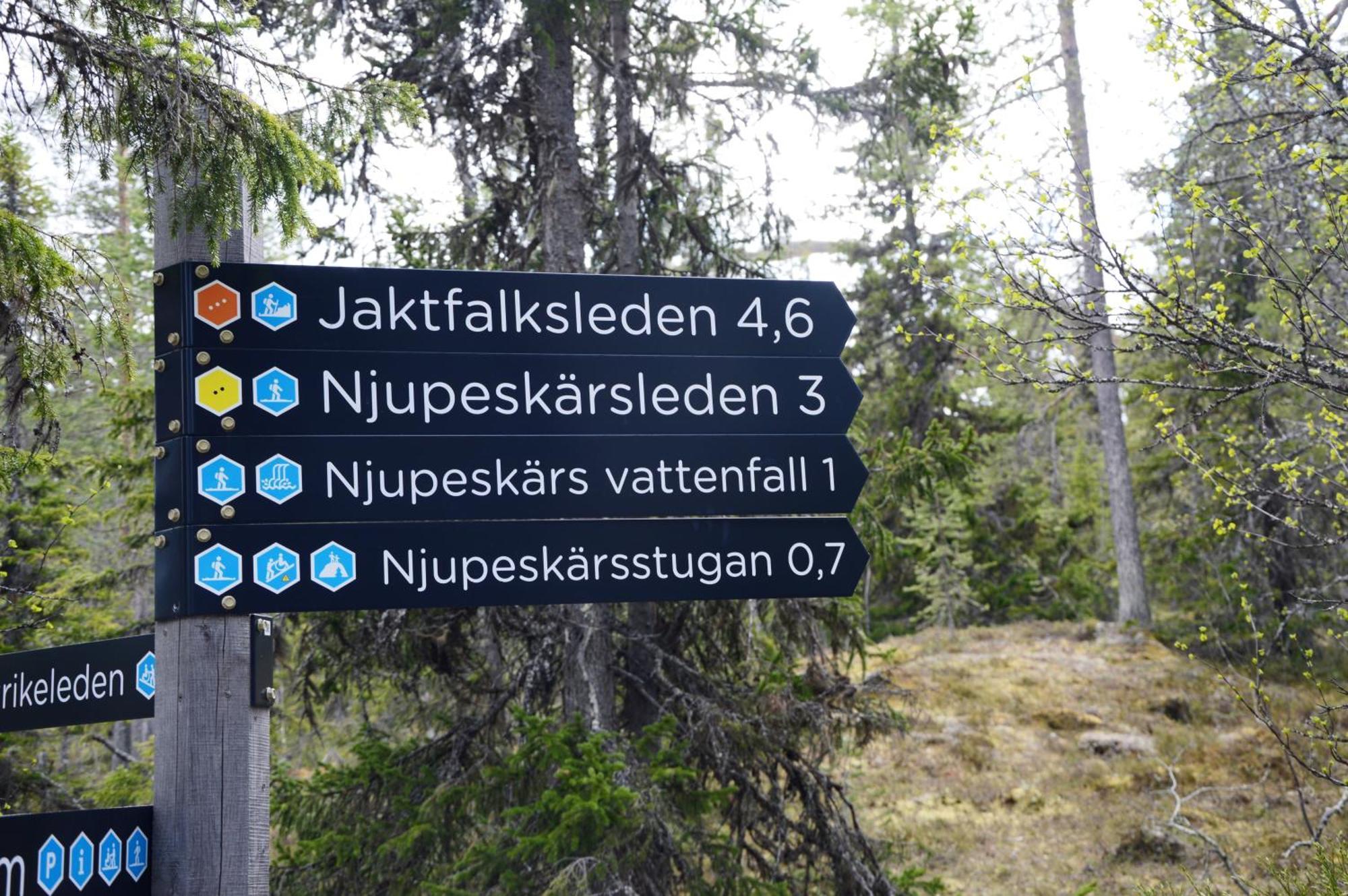 12 - Fulufjellets Nasjonalparker - Natur-, Dyre- Og Fugleopplevelser Ljørdal المظهر الخارجي الصورة