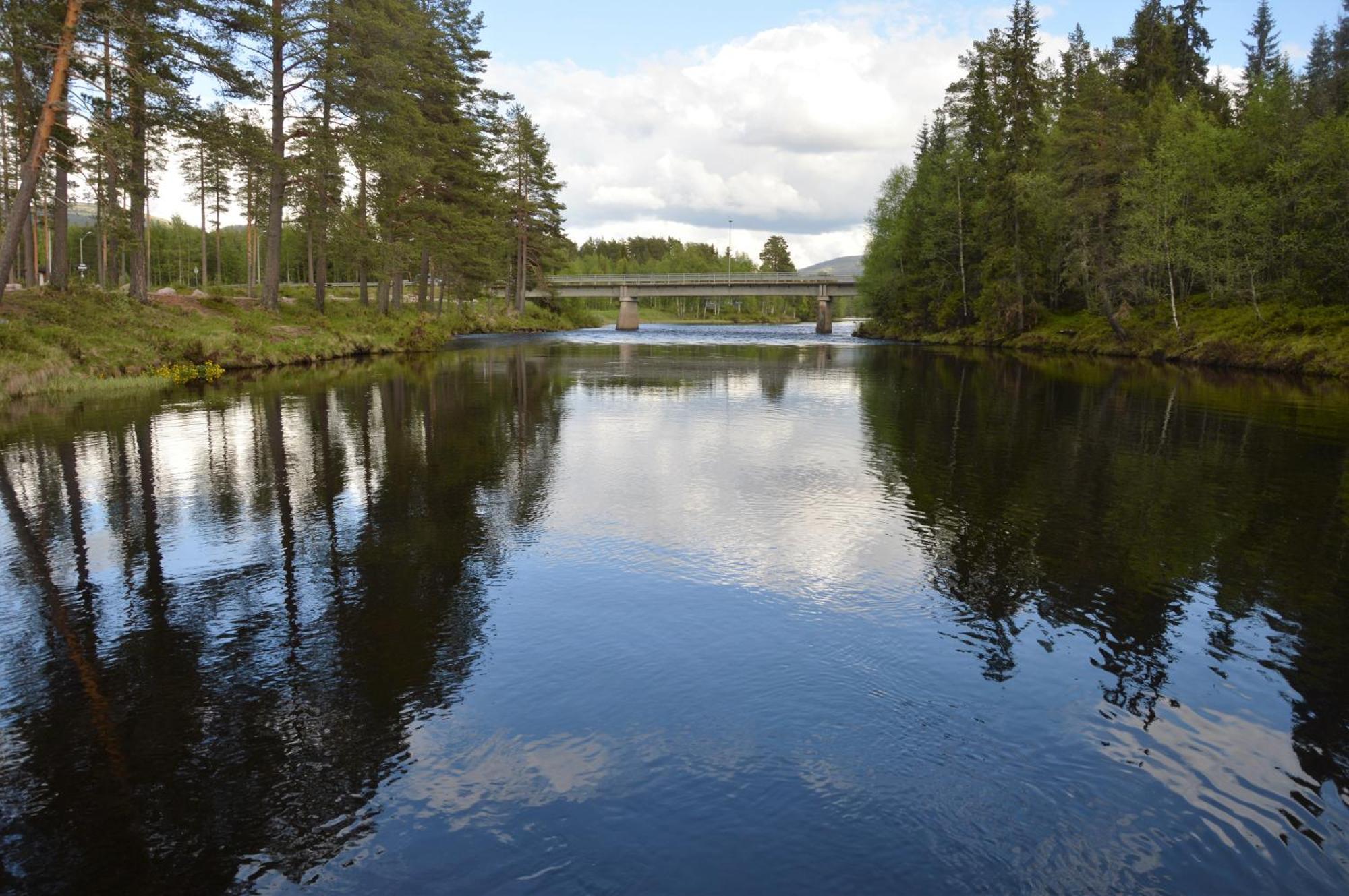 12 - Fulufjellets Nasjonalparker - Natur-, Dyre- Og Fugleopplevelser Ljørdal المظهر الخارجي الصورة