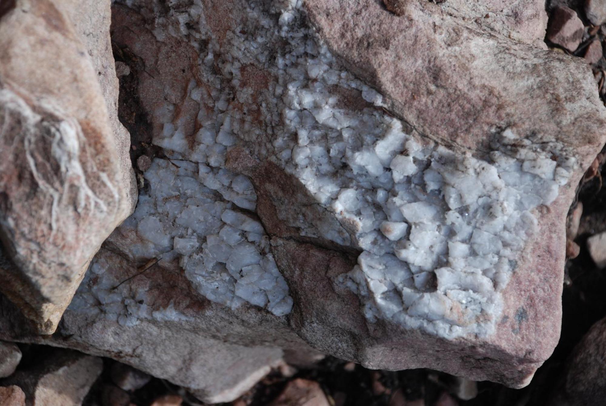 12 - Fulufjellets Nasjonalparker - Natur-, Dyre- Og Fugleopplevelser Ljørdal المظهر الخارجي الصورة
