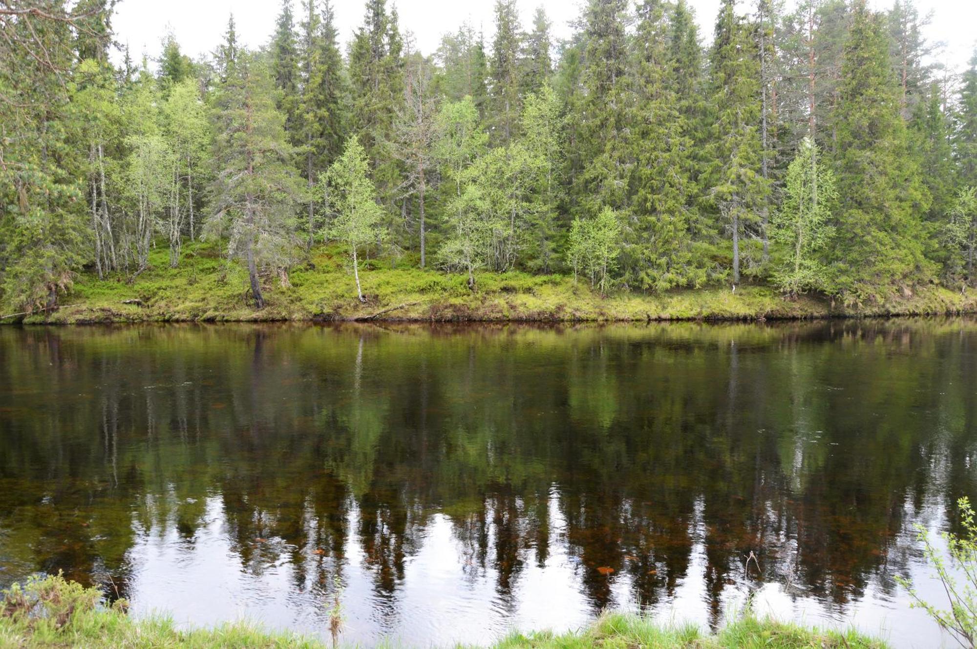 12 - Fulufjellets Nasjonalparker - Natur-, Dyre- Og Fugleopplevelser Ljørdal المظهر الخارجي الصورة